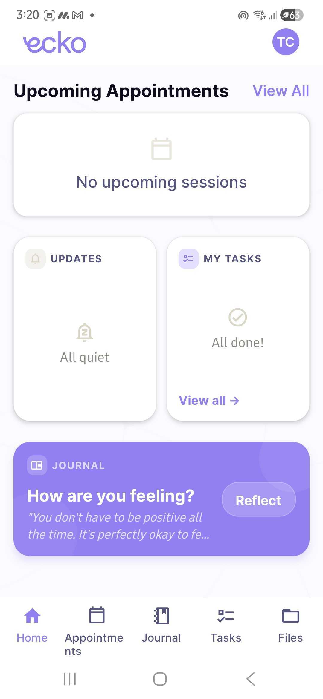 Ecko Health patient app home screen showing upcoming appointments, tasks, and journal